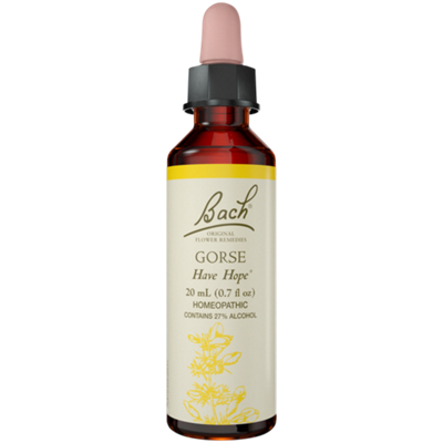 Gorse for Hope, Natural Homeopathic Flower Essence (20mL Dropper)