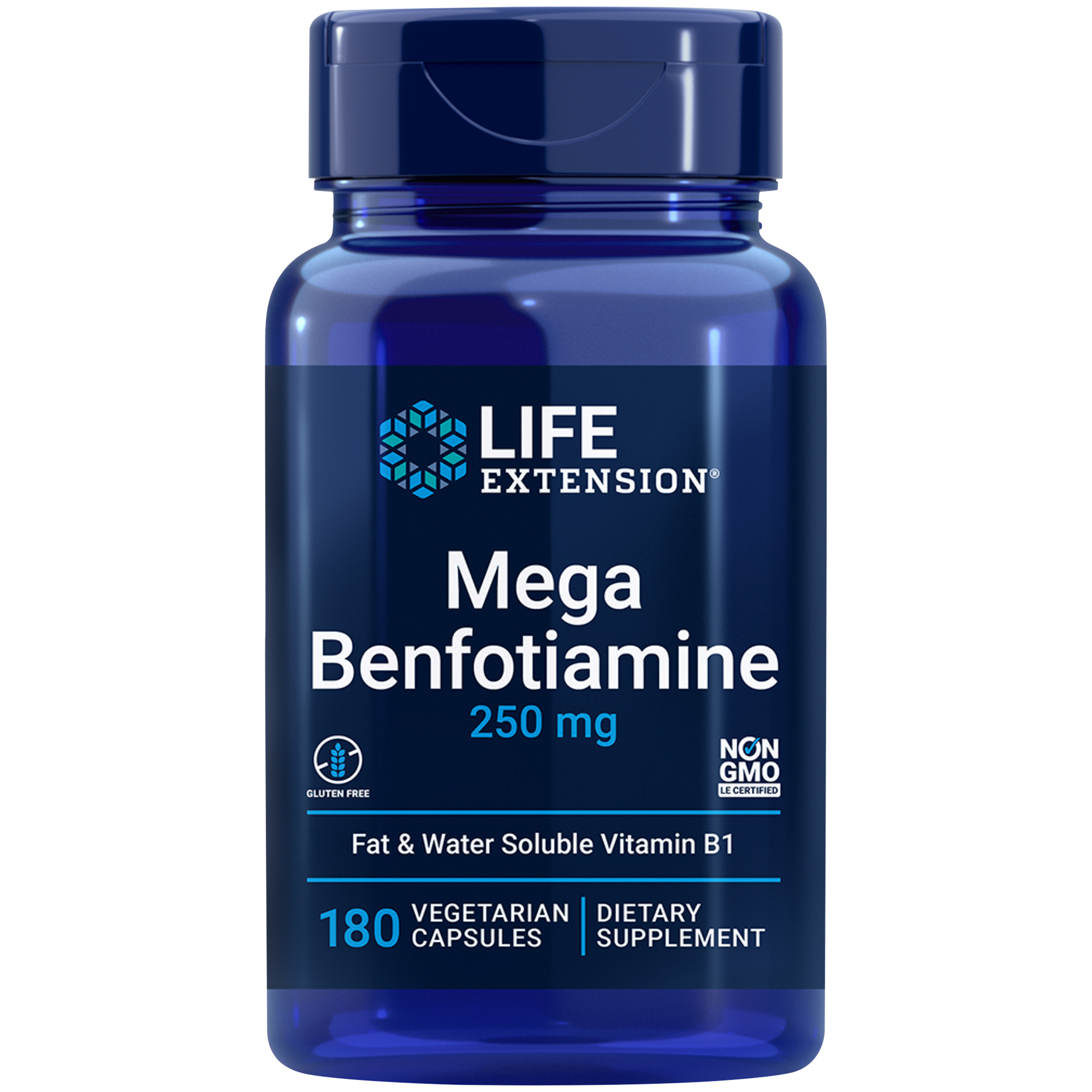 Mega Benfotiamine  Fat and WaterSoluble Vitamin B1  250 MG 120 Vegetarian Capsules