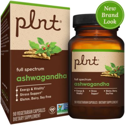 Best Ashwagandha Root Powder Capsules 1300 mg per serving – Premium  Relaxation Sleep Natural Supplement – Calming Energy Rejuvenate 100% Pure  Potent