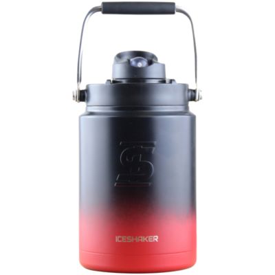 Strada Sleek with Wire Whisk BlenderBall - Lavender Ombre (25 fl oz.) by  BlenderBottle at the Vitamin Shoppe