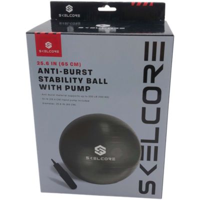 Exercise ball online pump