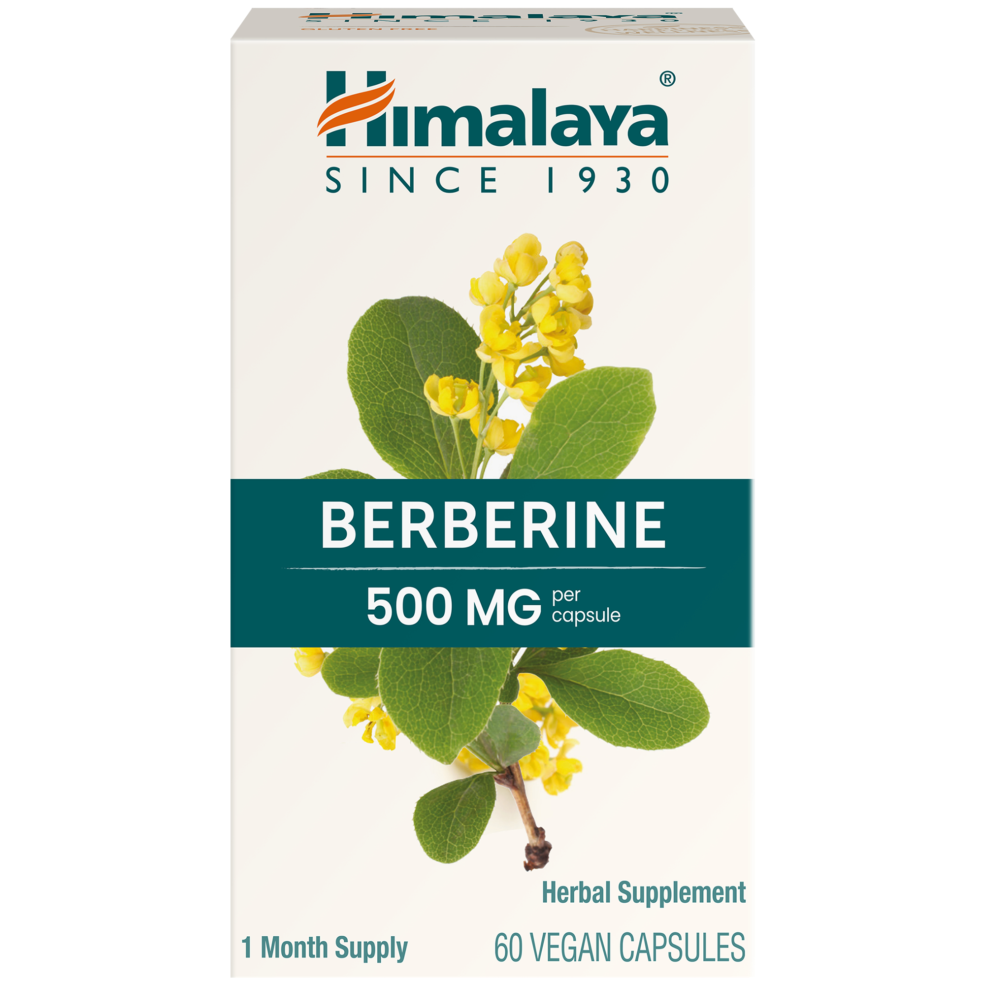 Berberine  Supports Healthy Blood Sugar Levels  500 MG 60 Capsules