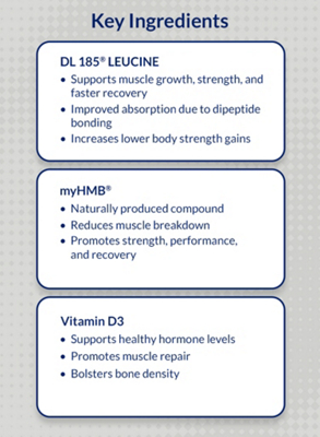 Gray Banner featuring Key Ingredients for Bodytech Elite Muscle Growth Peptide product